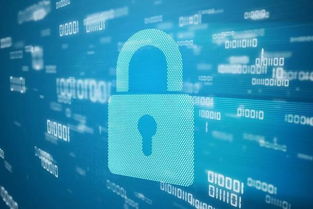 互聯(lián)網(wǎng)信息海洋中的慧眼 如何有效辨別網(wǎng)站真?zhèn)闻c信息可信度